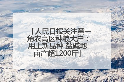 人民日报关注黄三角农高区种粮大户：用上新品种 盐碱地亩产超1200斤