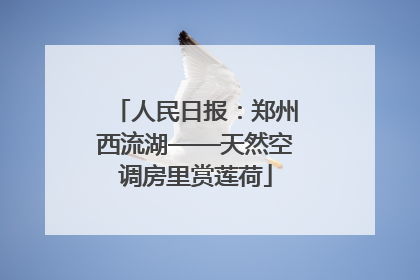 人民日报：郑州西流湖——天然空调房里赏莲荷