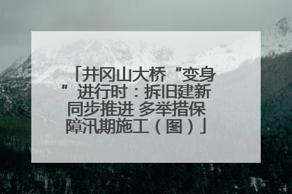 井冈山大桥“变身”进行时：拆旧建新同步推进 多举措保障汛期施工（图）