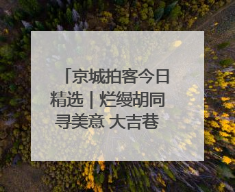 京城拍客今日精选｜烂缦胡同寻美意 大吉巷里探新标