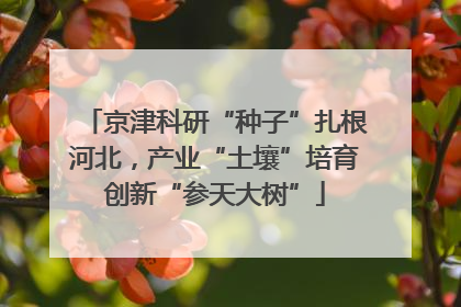 京津科研“种子”扎根河北，产业“土壤”培育创新“参天大树”
