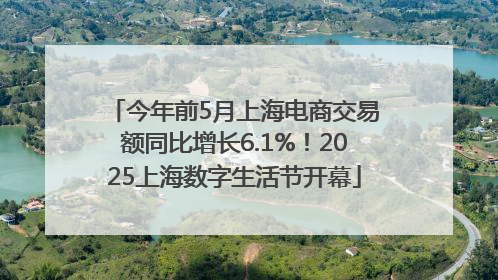 今年前5月上海电商交易额同比增长6.1%！2025上海数字生活节开幕