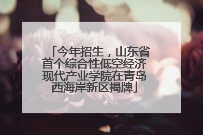 今年招生，山东省首个综合性低空经济现代产业学院在青岛西海岸新区揭牌