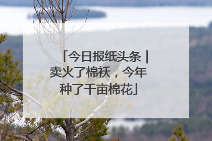 今日报纸头条｜卖火了棉袄，今年种了千亩棉花