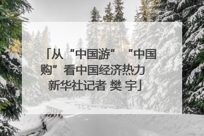 从“中国游”“中国购”看中国经济热力 新华社记者 樊 宇