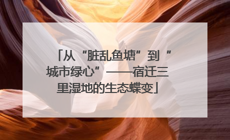 从“脏乱鱼塘”到“城市绿心”——宿迁三里湿地的生态蝶变