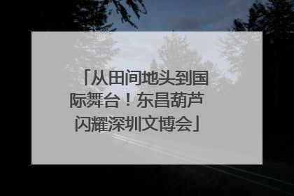 从田间地头到国际舞台！东昌葫芦闪耀深圳文博会