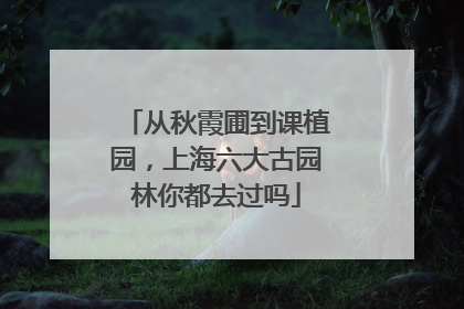 从秋霞圃到课植园，上海六大古园林你都去过吗