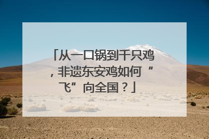 从一口锅到千只鸡，非遗东安鸡如何“飞”向全国？
