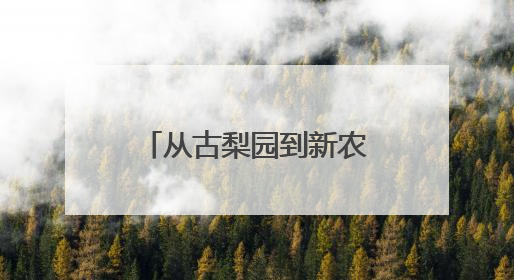 从古梨园到新农店，“中国雪花梨之乡”如何在拼多多开启新篇章？
