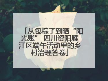 从包粽子到晒“阳光账” 四川资阳雁江区端午活动里的乡村治理答卷