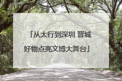 从太行到深圳 晋城好物点亮文博大舞台