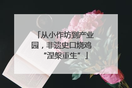 从小作坊到产业园，非遗史口烧鸡“涅槃重生”