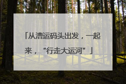 从漕运码头出发，一起来，“行走大运河”