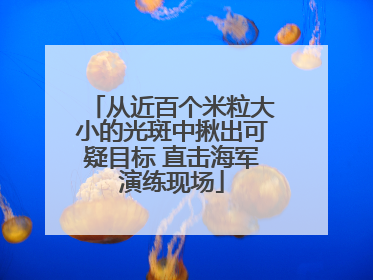 从近百个米粒大小的光斑中揪出可疑目标 直击海军演练现场