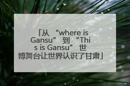 从 “where is Gansu” 到 “This is Gansu” 世博舞台让世界认识了甘肃