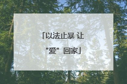 以法止暴 让“爱”回家