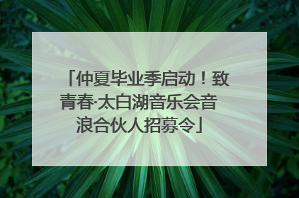 仲夏毕业季启动！致青春·太白湖音乐会音浪合伙人招募令