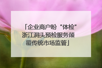 企业商户盼“体检” 浙江洞头预检服务颠覆传统市场监管
