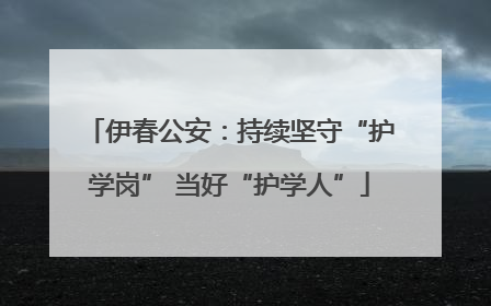 伊春公安：持续坚守“护学岗” 当好“护学人”