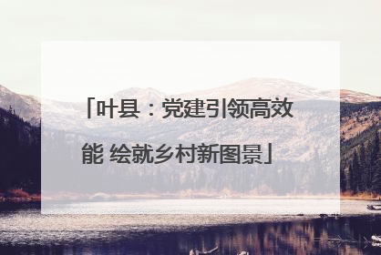 叶县：党建引领高效能 绘就乡村新图景