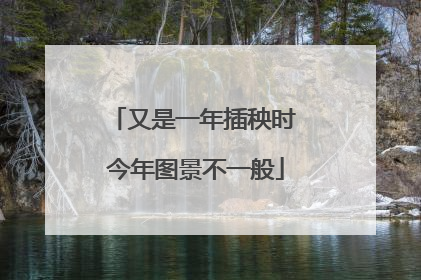 又是一年插秧时 今年图景不一般