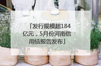 发行规模超184亿元，5月份河南信用债报告发布