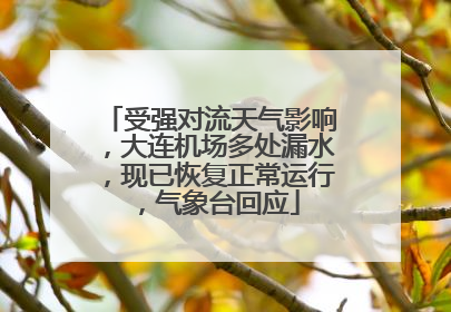 受强对流天气影响，大连机场多处漏水，现已恢复正常运行，气象台回应