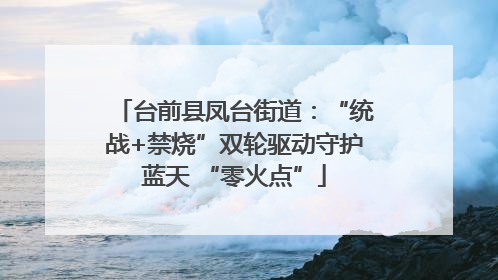 台前县凤台街道：“统战+禁烧”双轮驱动守护蓝天 “零火点”