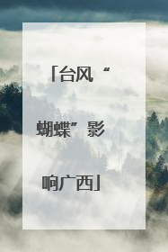台风“蝴蝶”影响广西