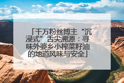 千万粉丝博主“沉浸式”舌尖溯源：寻味外婆乡小榨菜籽油的地道风味与安全