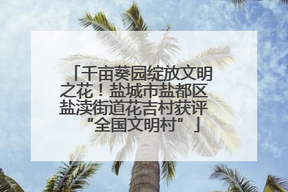 千亩葵园绽放文明之花！盐城市盐都区盐渎街道花吉村获评“全国文明村”
