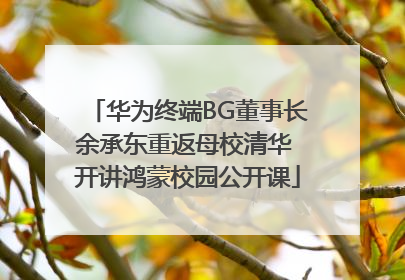 华为终端BG董事长余承东重返母校清华 开讲鸿蒙校园公开课