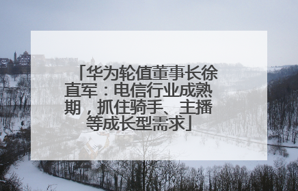 华为轮值董事长徐直军：电信行业成熟期，抓住骑手、主播等成长型需求