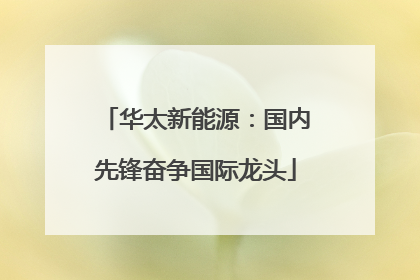 华太新能源：国内先锋奋争国际龙头