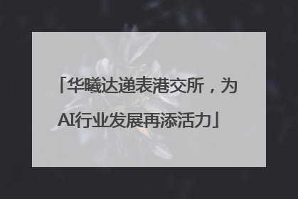 华曦达递表港交所，为AI行业发展再添活力
