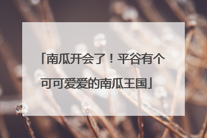 南瓜开会了！平谷有个可可爱爱的南瓜王国