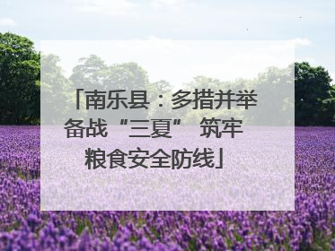 南乐县：多措并举备战“三夏” 筑牢粮食安全防线