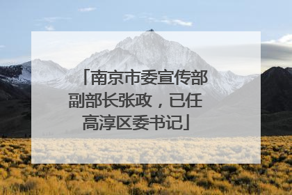 南京市委宣传部副部长张政，已任高淳区委书记