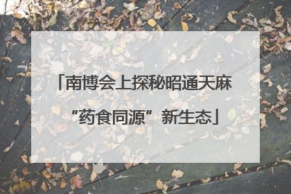南博会上探秘昭通天麻“药食同源”新生态