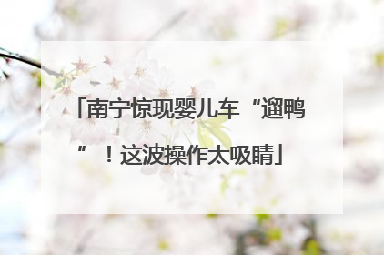 南宁惊现婴儿车“遛鸭”！这波操作太吸睛