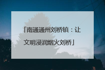 南通通州刘桥镇：让文明浸润烟火刘桥
