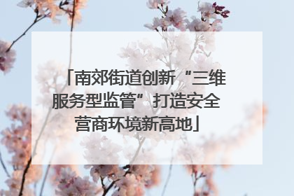 南郊街道创新“三维服务型监管”打造安全营商环境新高地