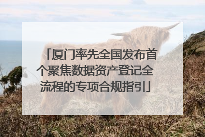 厦门率先全国发布首个聚焦数据资产登记全流程的专项合规指引