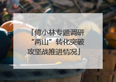 傅小林专题调研“两山”转化突破攻坚战推进情况