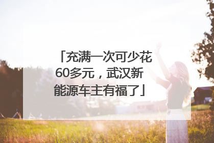 充满一次可少花60多元，武汉新能源车主有福了