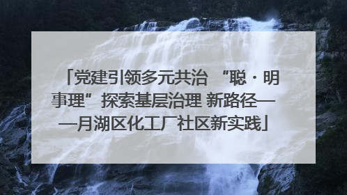 党建引领多元共治 “聪・明事理”探索基层治理 新路径——月湖区化工厂社区新实践