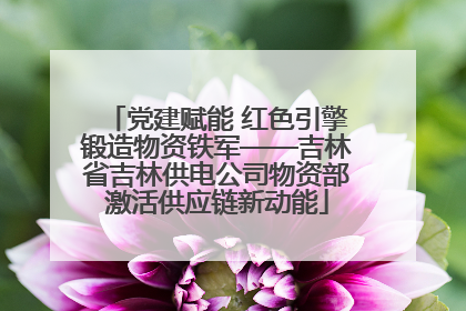 党建赋能 红色引擎锻造物资铁军——吉林省吉林供电公司物资部激活供应链新动能
