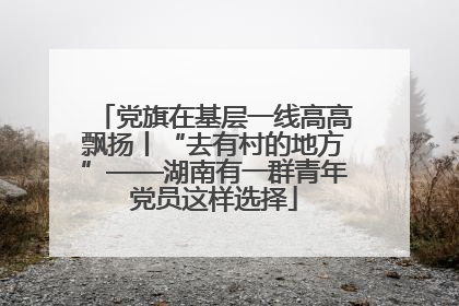 党旗在基层一线高高飘扬丨“去有村的地方”——湖南有一群青年党员这样选择