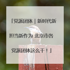 党派团体｜新时代新担当新作为 北京市各党派团体这么干！